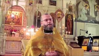 Orthodox Sermon - Sunday of Zacchaeus