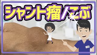 シャント瘤 / こぶ　