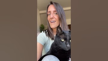 North Node in Aries - Quick Explanation💫♈️