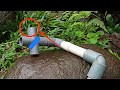 Professional Plumber Reveals Secret Way to Install Cost-Effective Water Installations!