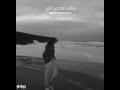 تاني يا قلبي تاني هبقي لوحدي تاني