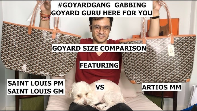 Goyard Artois MM vs St Louis PM, Pros & Cons