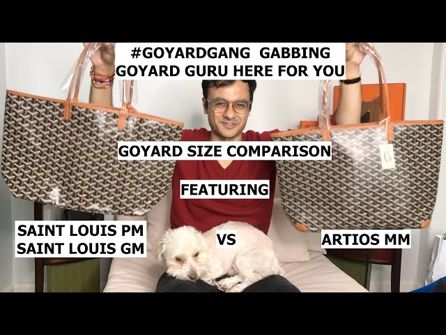 Goyard St Louis Vs Artois Comparison - #GoyardGang Gabbing