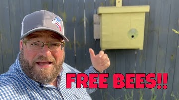 How to catch FREE BEES !! | It’s #honeybee SWARMTRAP season!
