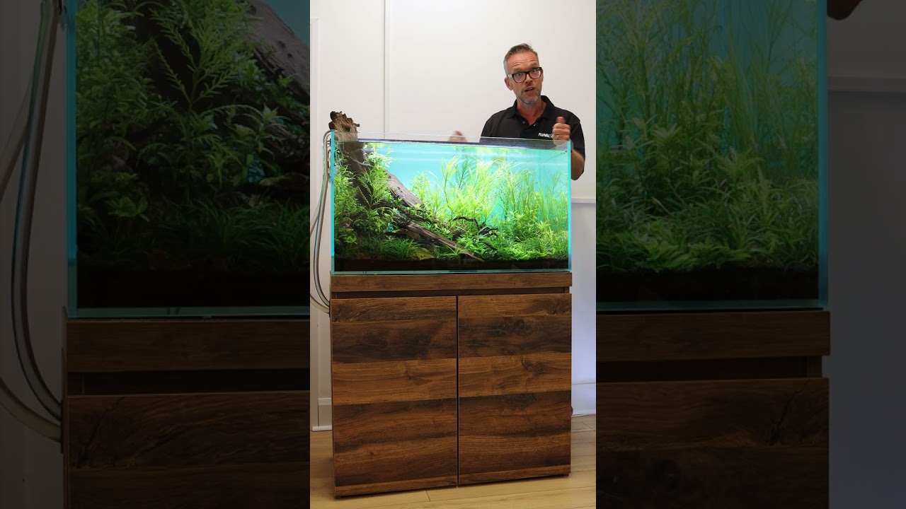 George Farmer's Fluval 90P Aquascape 🔥 #shorts