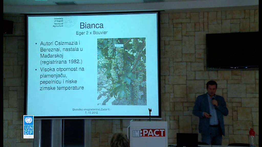 Kako napraviti moj gf špricati