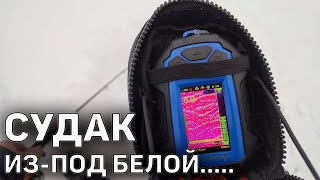 РЫБАЛКА  С ПРАКТИКОМ 8 | ЛОВЛЯ СУДАКА НА VIB