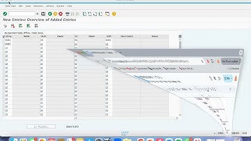 Basic Enterprise Structure SAP SD I SAP MM Training I VoiSAP