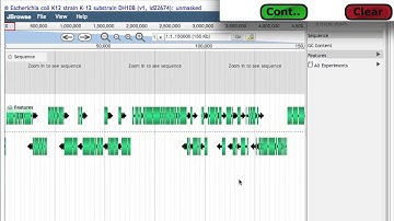 Load a genome into CoGe in 3 minutes