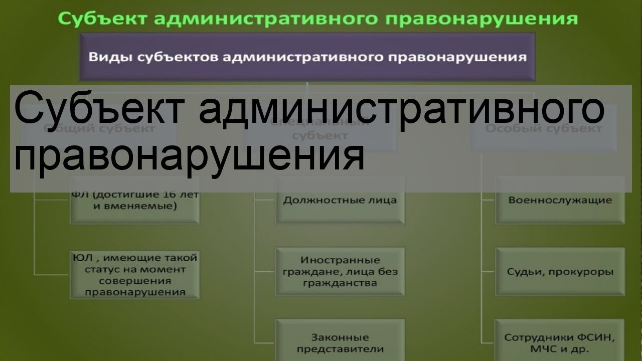 Субъекты административных проступков