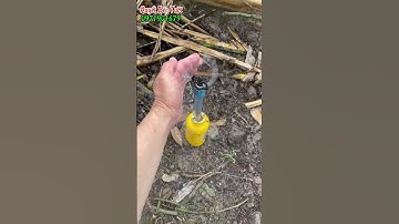 Béc TF 150 lít đi ống cứng, cung cấp và nhận thi công hệ thống tưới 0971901679 #quyetbectuoi