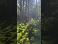 FX350 mossy trail #shorts