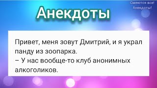 🤣 Украденная панда и алкоголики, Sиськи на елке, Собачья жизнь и прием ветеринара 🤣 АНЕКДОТЫ!