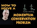 Conservation of Momentum Quiz
