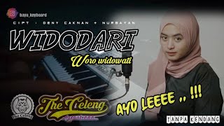 Widodari - Woro widowati Jandut koplo ll Auto Jernih Audio ne !!!