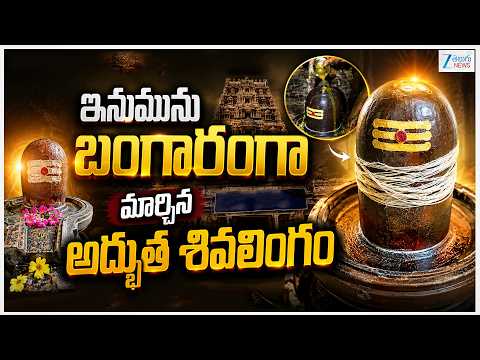 Meenambaram Sri Parusha Vediswara Swamy Temple | Old Brahmasutra Shivalingam | ZEE Telugu News - ZEE24TELUGUNEWS