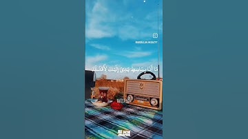 #القرآن_الكريم #تلاوة_مميزة #تلاوات_خاشعة #قرآن_كريم #يارب #quran #راحة_نفسية
