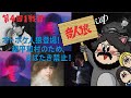 【音人狼】オトボケ人狼登場!超平和村のため、まばたき禁止![第4回 1戦目]