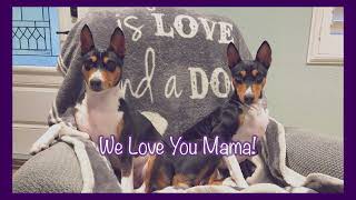 We Love You Mama (Happy Mothers Day)