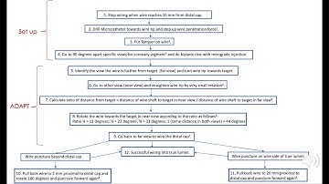 Angiographic 3 Dimensional Antegrade Puncture Technique ADAPT wiring - my best effort to explain it