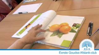 Download Lagu Afvallen op een gezonde manier? EGA Nederland helpt u afslanken. Neem contact op MP3