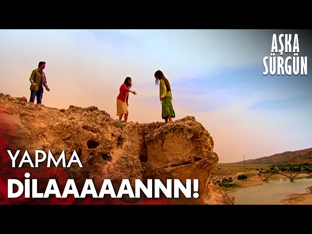 Sperma mushukning fotosuratidan chiqadi