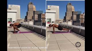 Plank Jump Ins