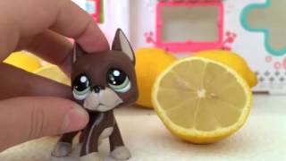 Lps: Lemon Factor by Olga Eriksson 4,729 views 10 years ago 13 minutes, 8 seconds