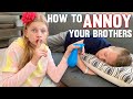 Sister's Revenge: Annoying My Brothers ALL DAY LONG!