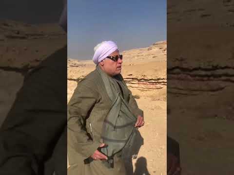 عم المجالات كلها حضرتك حساس جدا