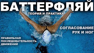 видео: КАК НАУЧИТЬСЯ ПЛАВАТЬ БАТТЕРФЛЯЕМ | Плавание баттерфляем с нуля картинка: КАК НАУЧИТЬСЯ ПЛАВАТЬ БАТТЕРФЛЯЕМ | Плавание баттерфляем с нуля