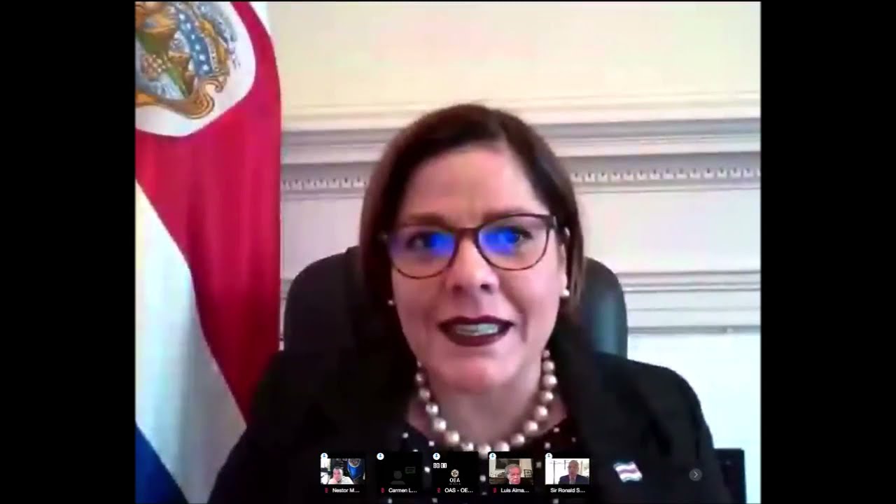 Embajadora Alejandra Solano - Intervención ante la OEA de situación en  Nicaragua