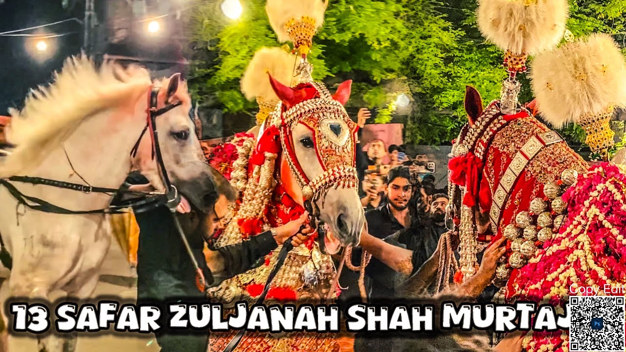 14 Safar | Zuljanah Shah Murtajiz | Qalandri Maidan Fort Road Lahore 2024