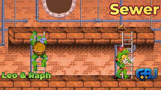 Leo &amp; Raph – TMNT Shell Shocked | OpenBOR Co-Op Gameplay (Sewer Stage)