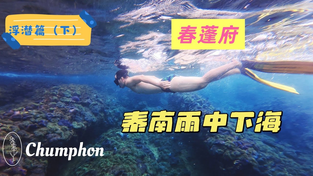 「浮潜篇•下」#chumphon 暴雨中下海，就为看它？到底是植物or动物？反正太美！还有超棒的海鲜大餐，这趟旅行值得！