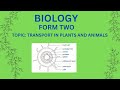 FORM 2 BIOLOGY TOPIC 1 TRANSPORT IN PLANTS AND ANIMALS LESSON 1 FORM 2 BIOLOGY TOPIC 1 TRANSPORT IN PLANTS AND ANIMALS LESSON 1