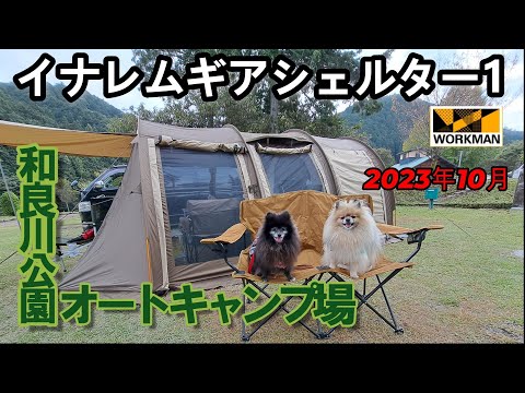 【ワークマンテント】イナレムギアシェルター1で和良川キャンプ