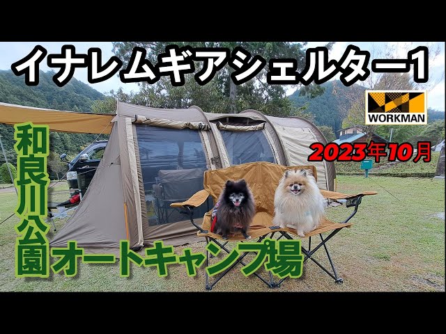 ワークマンテント】イナレムギアシェルター1で和良川キャンプ - YouTube