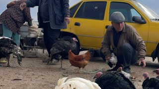 видео: 26-ОКТЯБР/2025/ШЫМБАЙ ТАУЫК БАЗАРЫ/ДЕМ БЕРМЕС ТАУЫК БАЗАРЫ картинка: 26-ОКТЯБР/2025/ШЫМБАЙ ТАУЫК БАЗАРЫ/ДЕМ БЕРМЕС ТАУЫК БАЗАРЫ