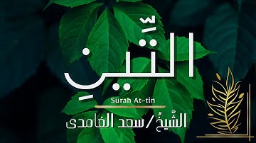 سورة التين / المصحف المرتل / الشيخ سعد الغامدي / Surah At-tin / Sheikh Saad Al-Ghamdi