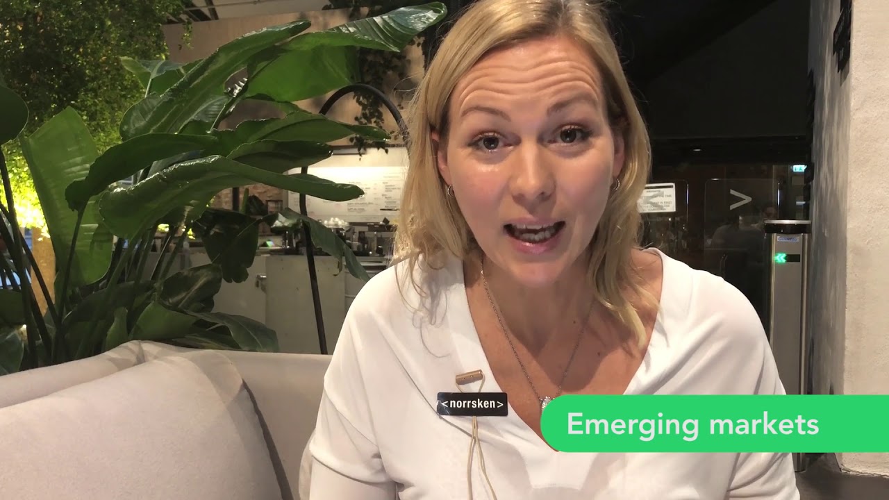 Introducing the Green Assets Wallet