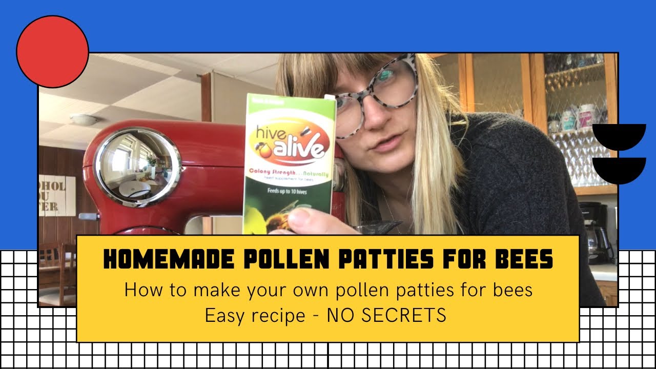 Easy Homemade Pollen Patty Recipe DIY Pollen Patties for Bees