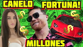 CANELO: HOW MUCH IS HIS FORTUNE AND HIS MILLIONS!