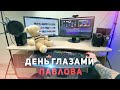 ОДИН ДЕНЬ ГЛАЗАМИ ПАВЛОВА! КАК ЖИВУТ САМП ЮТУБЕРЫ?