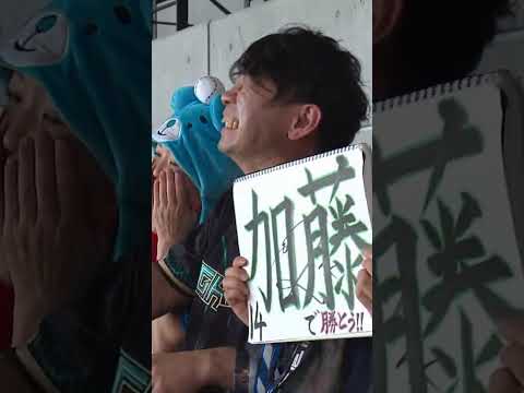 加藤キャリアハイ12勝！清宮の確信弾！#ドミれ #lovefighters