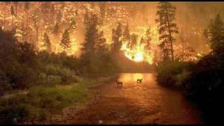 Hurricanes,Earthquakes,Lightning,and Fire