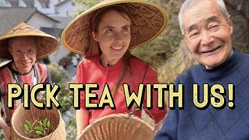 Rural China during tea season: is this Hangzhou