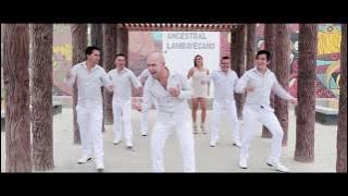 Amaya Hermanos - Te Olvidaré (Official Video)