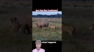 discovery short video #new #animals #viral #wildlife