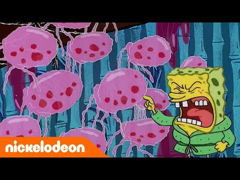 Губка Боб Квадратные Штаны | Вечеринка медуз | Nickelodeon Россия